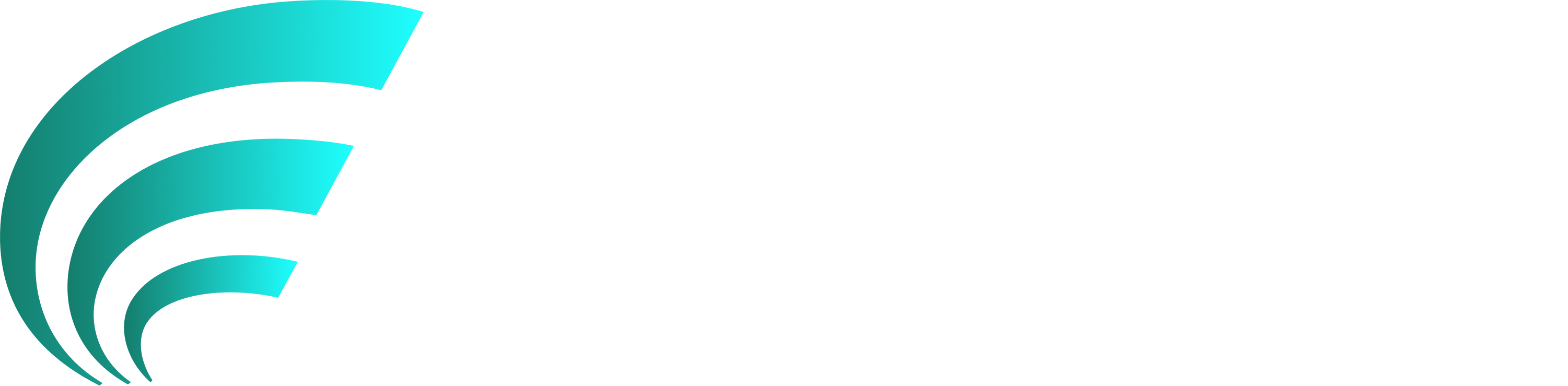 Payzen logo